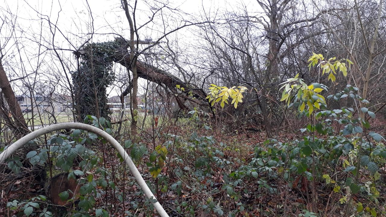 Visvijver Neeroeteren