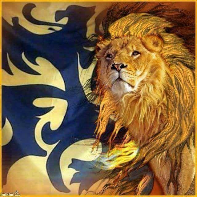 Ronse-motie: Gemeente niet solidair