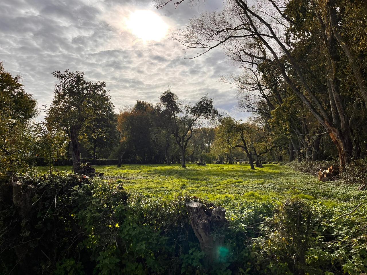 1ste herfstwandeling is een succes!