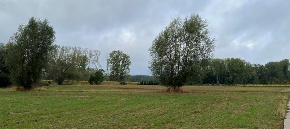 1ste Herfstwandeling - Vlaams Belang Erpe-Mere