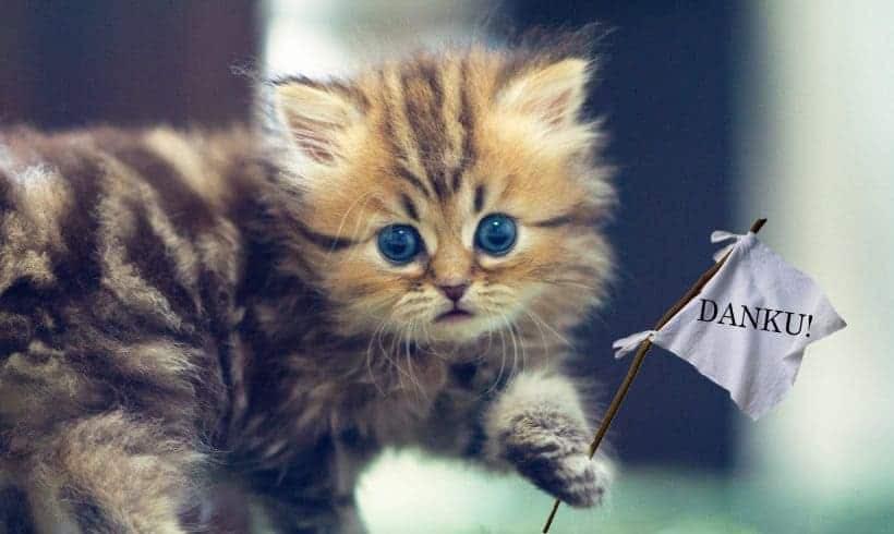 Voortel om samen te werken met een asiel werd niet aanhoort