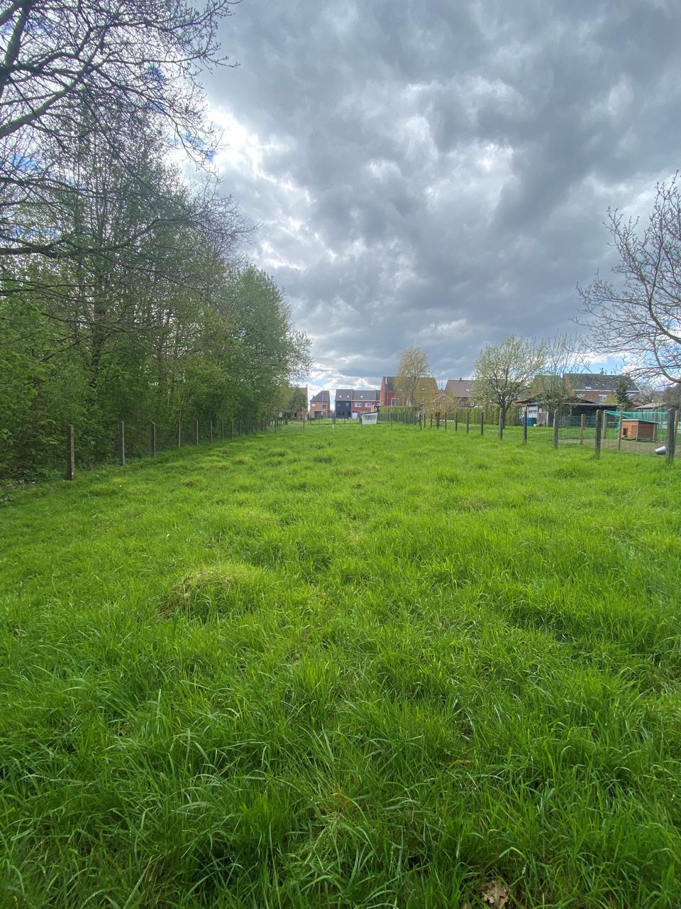 Geen recht op subsidie bij aankoop grond voor uitbreiding Rijdtdomein