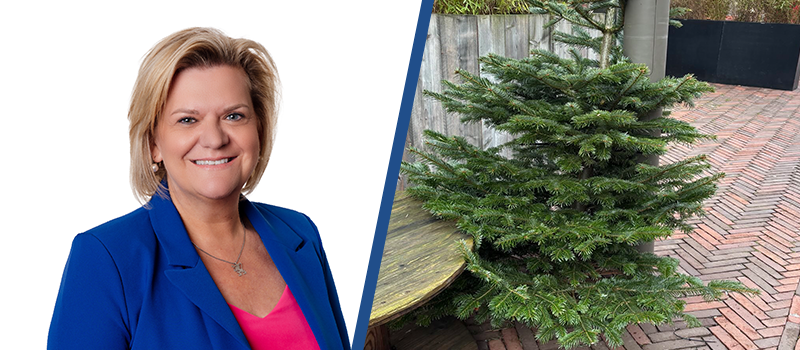 Mond vol van 'klimaatbomen', maar meerderheid kiest voor wegwerpkerstbomen