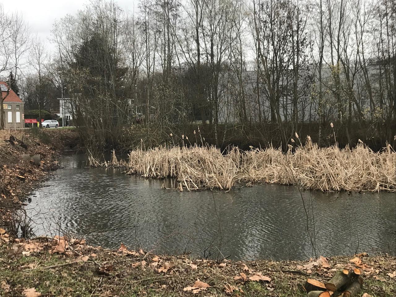 Integraal waterbeheer 