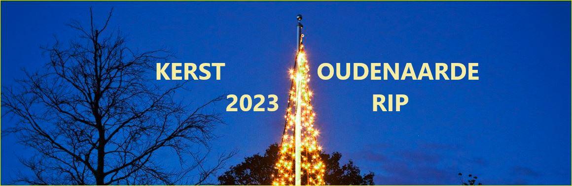 Kerstboom markt Oudenaarde valt om, vrouw overleden 