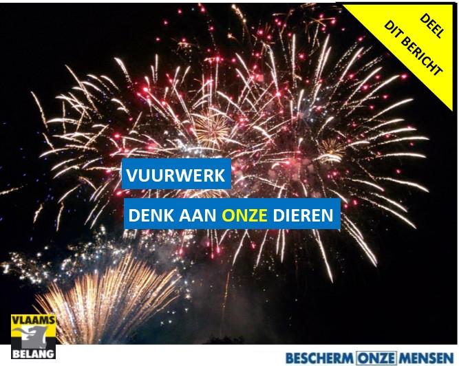 Geluidsarm vuurwerk
