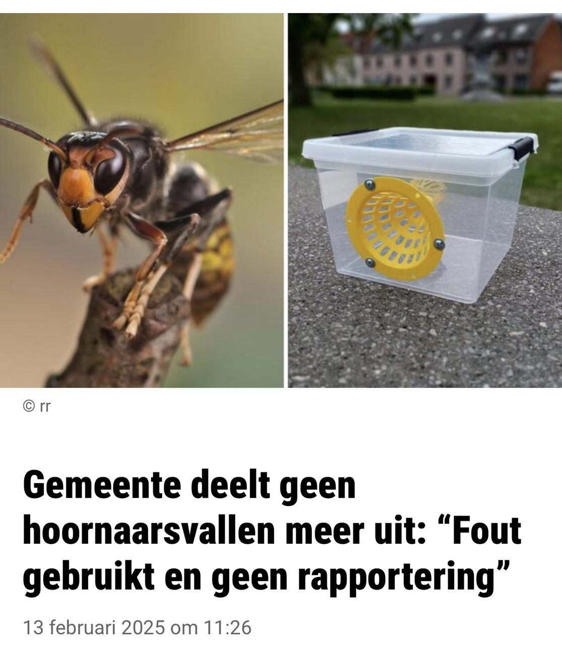 Waarom worden er dit jaar geen inspanningen geleverd in de bestrijding van de Aziatische hoornaar?