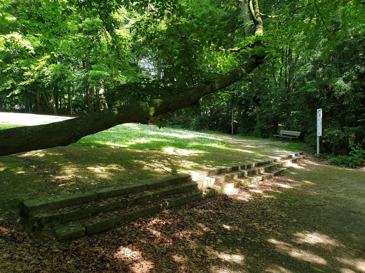 veiligheid in Scheldepark