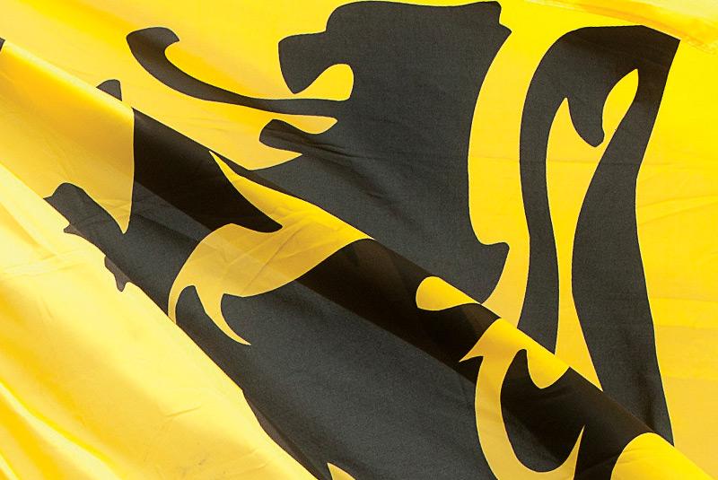 N-VA en Vlaams Belang betreuren ontbreken academische zitting op 11 juli