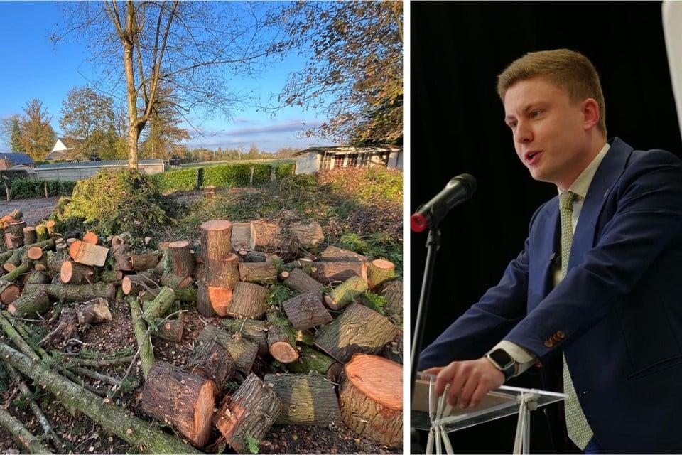  "Stad kapt bomen en voert werken uit zonder vergunning"