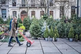 Vlaams Belang Gent hekelt stadsbestuur na waarschuwing Voedselagentschap over eetbare kerstbomen