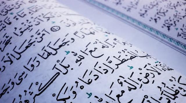 Vlaams Belang wil geen Syriestrijders in NTG