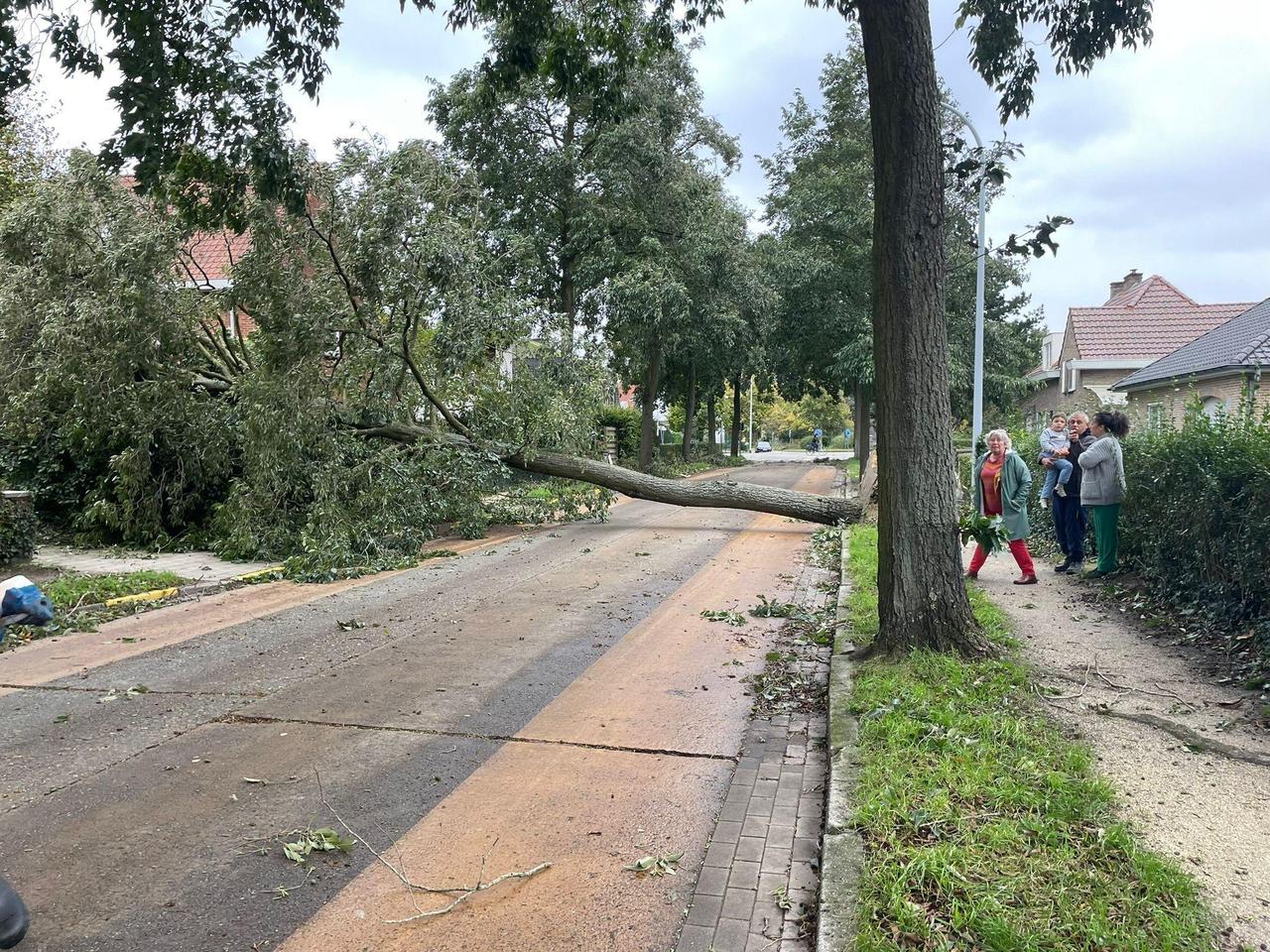 “Vlaams Belang uit bezorgdheid over dodelijke storm Ciaran: kan stadsbestuur zichzelf nog in de spiegel kijken?”