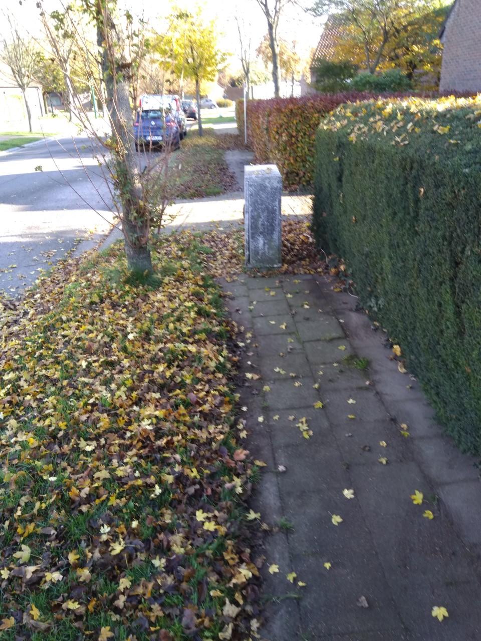 Toestand voetpaden: ondermaats