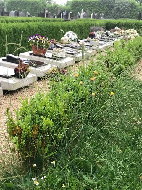 Het kerkhof in Oosteeklo