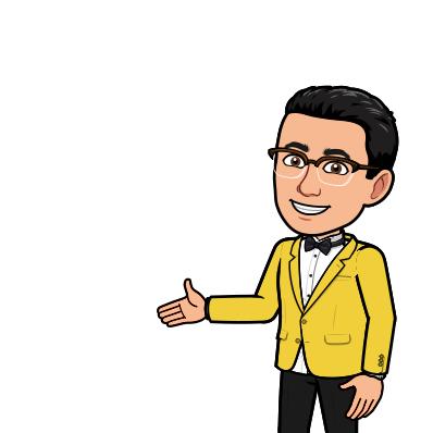 Tussenkomsten in de gemeenteraad