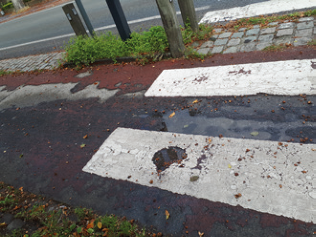 Mobiliteit & verkeersveiligheid