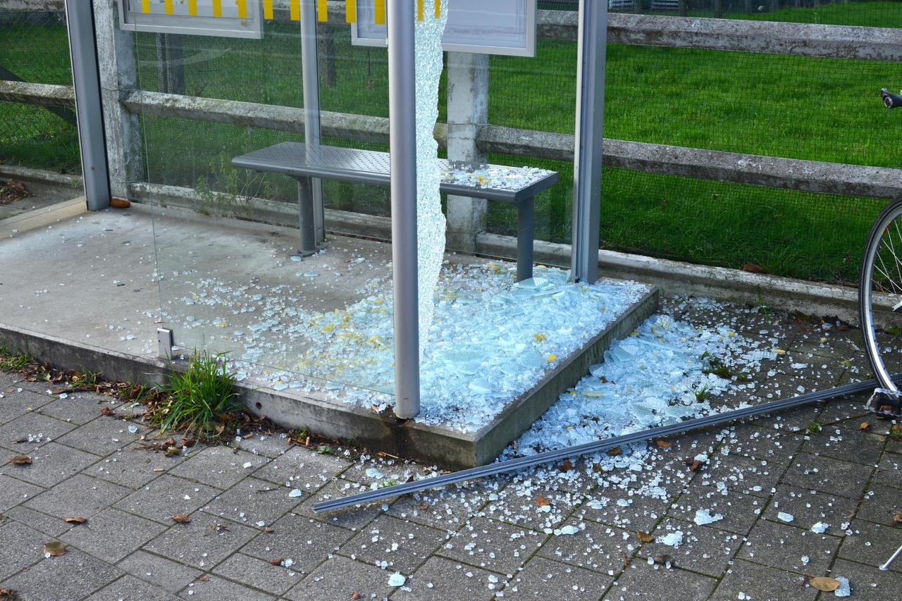 Vlaams Belang dringt aan op busverboden en wijst op schande rond handhaving!