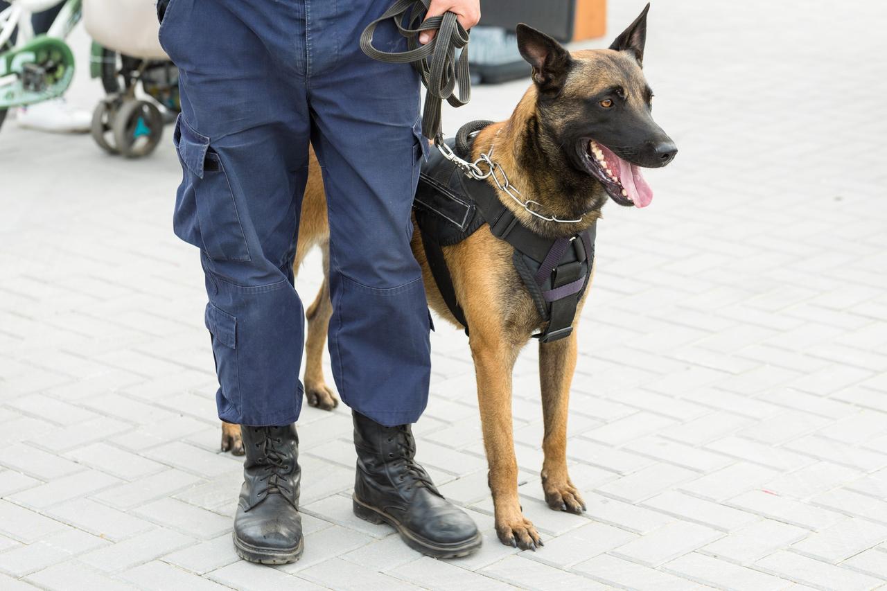 Vlaams Belang hekelt schaarse inzet drugshonden in Roeselare!