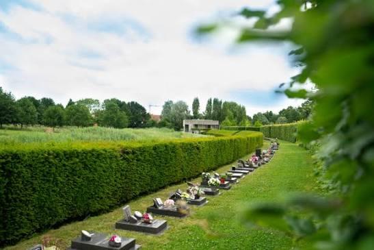 Bestuur maakt anderhalf jaar later VB-voorstel rond begraven met huisdier waar