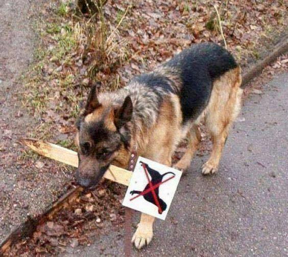 Boris krijgt geen spuitje