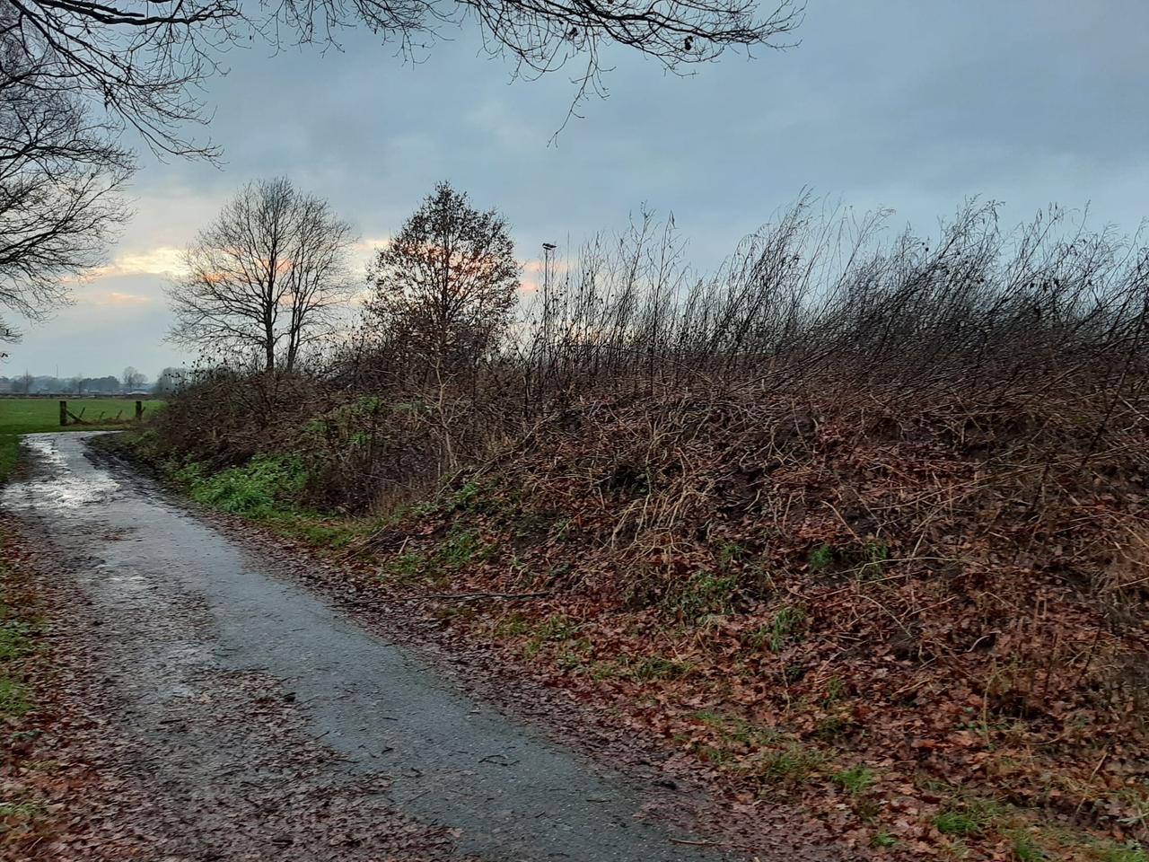 Vervuilde grond ter hoogte van Kievitheide maar gemeente doet al meer dan een half jaar niets