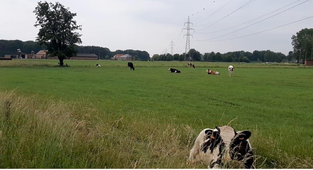 Open brief van een jonge Zoerselse landbouwer
