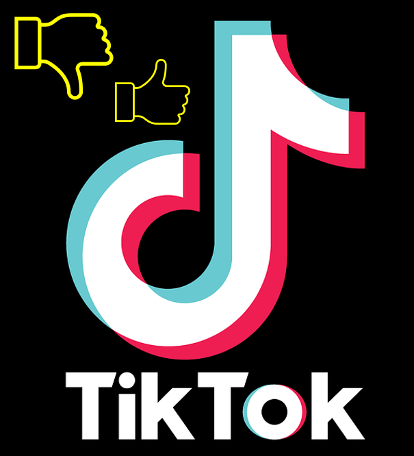 Vlaams Belang Zoersel stelt gebruik Tik Tok Applicatie door lokale bestuurders en gemeentelijke administratie in vraag.