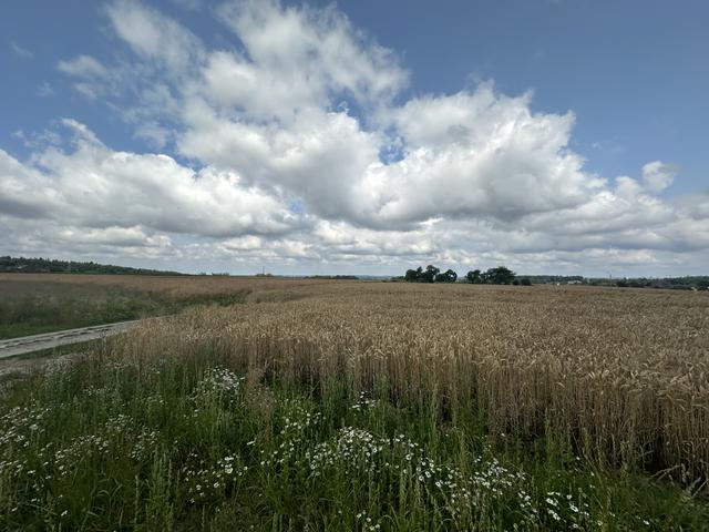 ONS HANDVEST VOOR BEERSEL