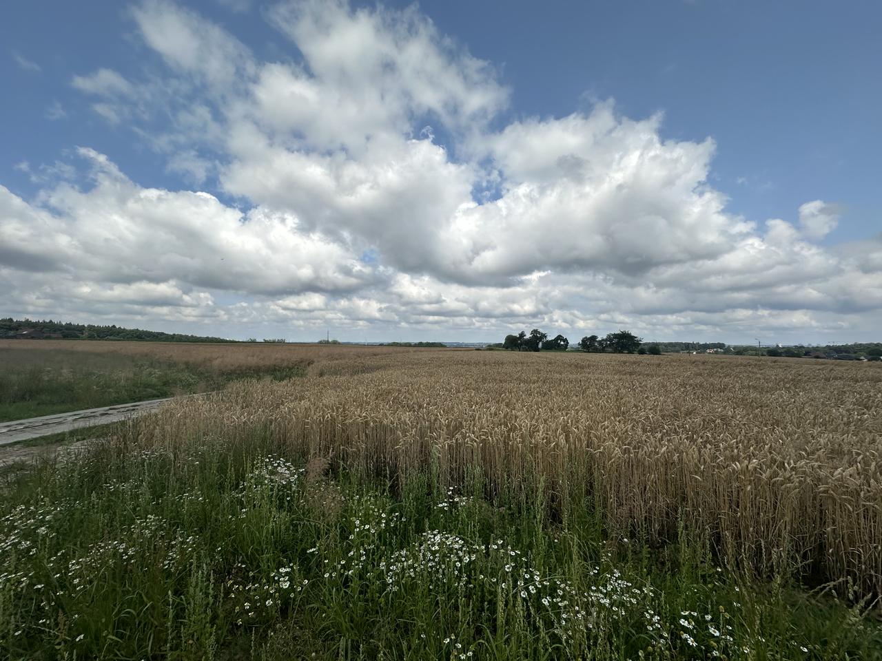 ONS HANDVEST VOOR BEERSEL 