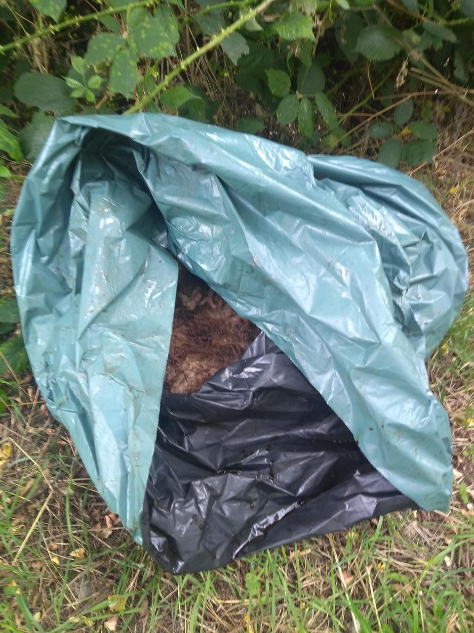 Slachtafval islamitisch offerfeest teruggevonden in centrum-Beersel