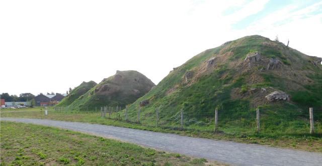 Vlaams Belang Tienen op de inhuldiging van de 3 tumuli
