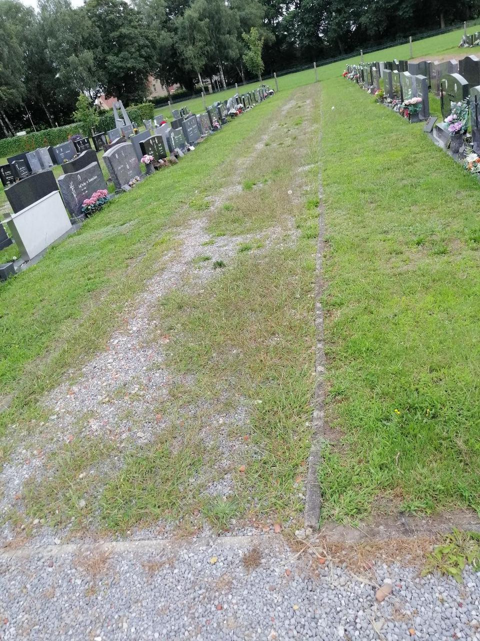 Onkruidinvasie op begraafplaats in Heppen