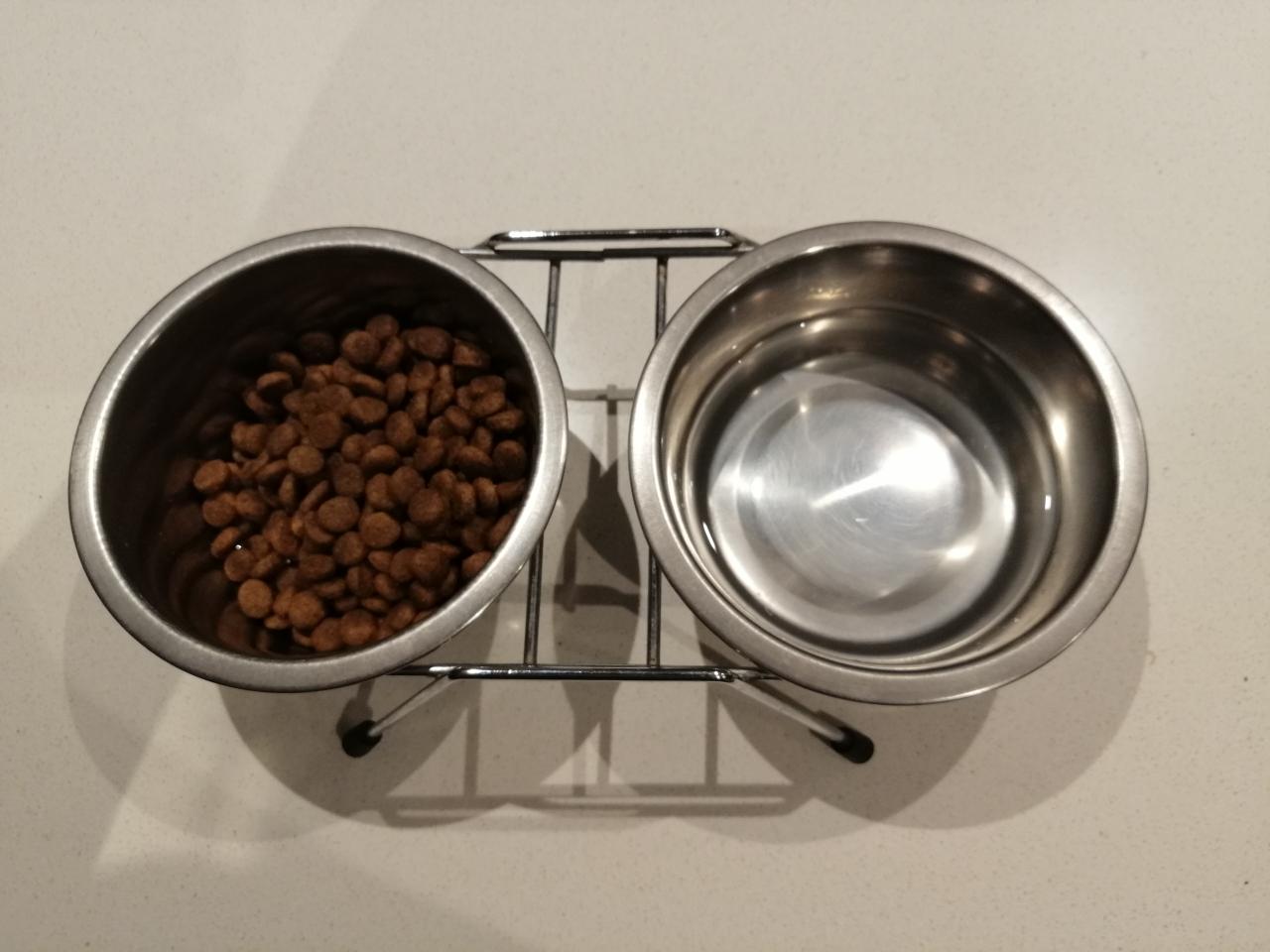 Vlaams Belang vraagt gratis dierenvoeding voor kansarmen