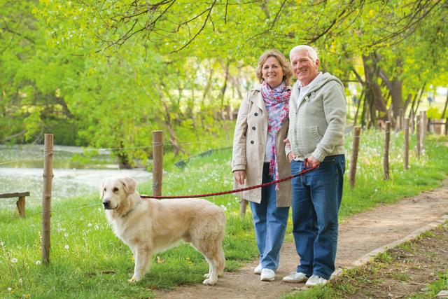 Kwalitatieve ouderenzorg in Beringen: respect, zorg en ondersteuning voor onze senioren