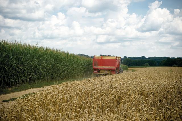 Herstel en groei van Onze landbouwsector