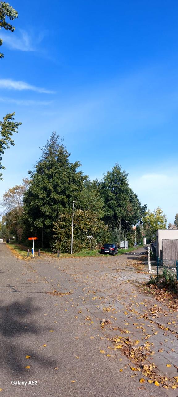 BOSJE KRIJG ANDERE BESTEMMING
