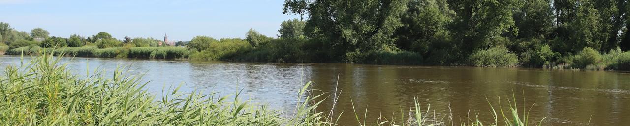 Vlaams Belang blijft dossier den Briel van nabij opvolgen