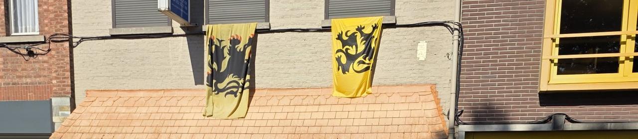 Vlaams Belang Dendermonde bezorgt origineel stickervel aan wie de leeuwenvlag uithangt