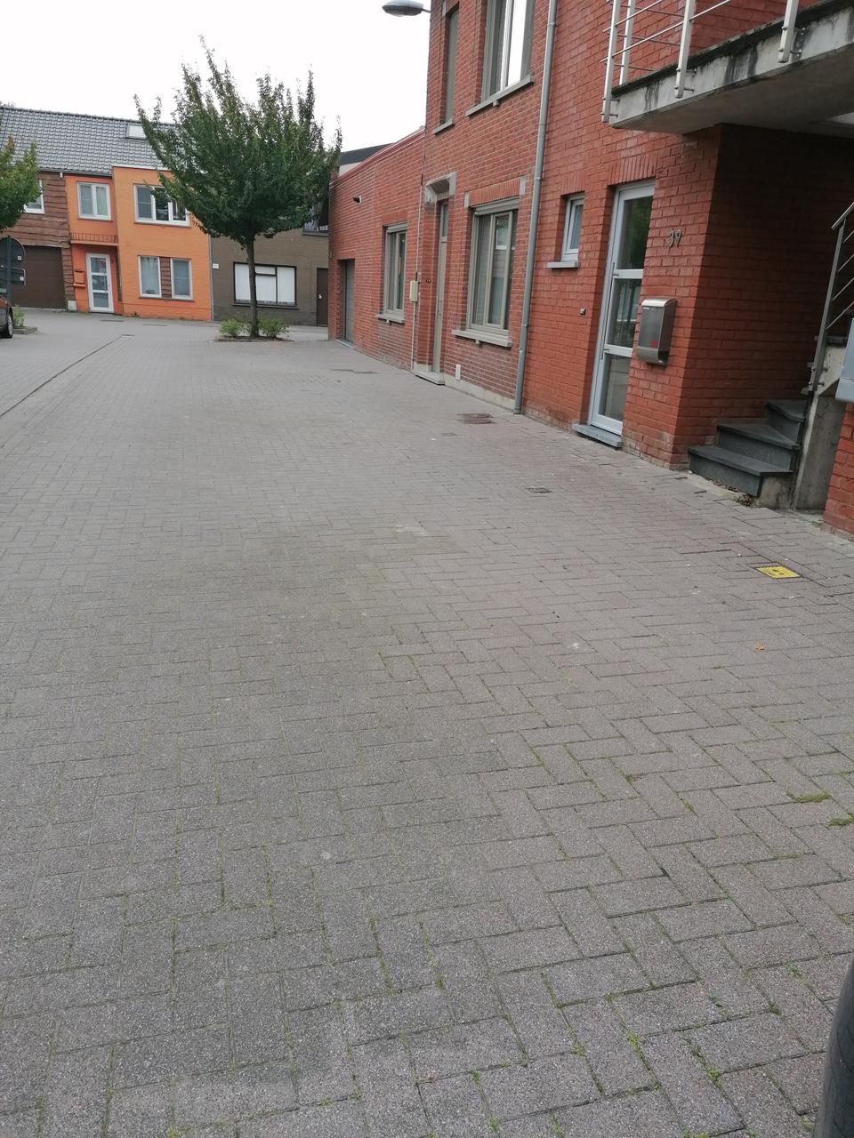 Singel krijgt buurtparking: “Erfpacht voor perceel grond afgesloten met Woonpunt Waas”