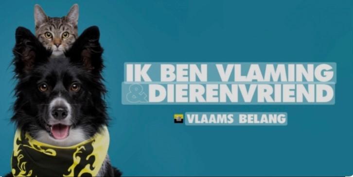 Vlaams Belang vraagt vanuit de provincie meer aandacht voor dierenwelzijn