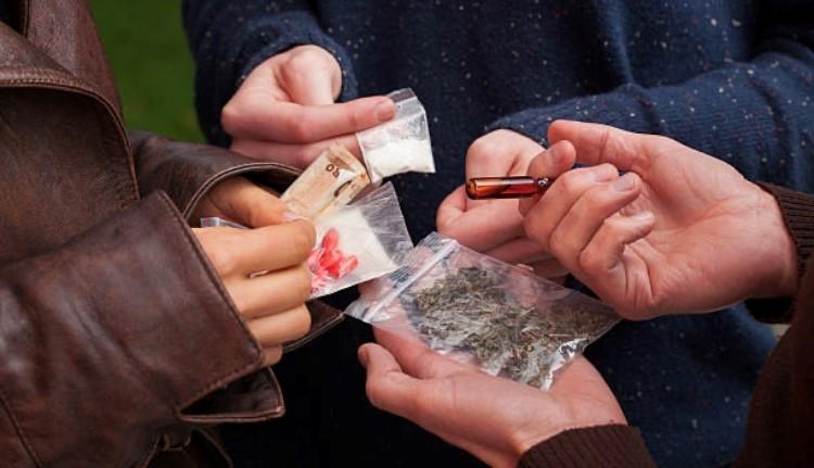 Aantal meldingen van drugsplantages stijgt spectaculair in Antwerpen