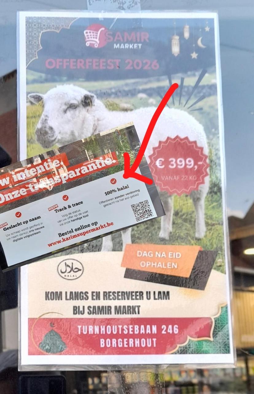 Filip Dewinter hekelt promotie voor onverdoofd slachten in stad Antwerpen