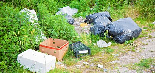 Dankzij Vlaams Belang meer actie tegen sluikstorten.