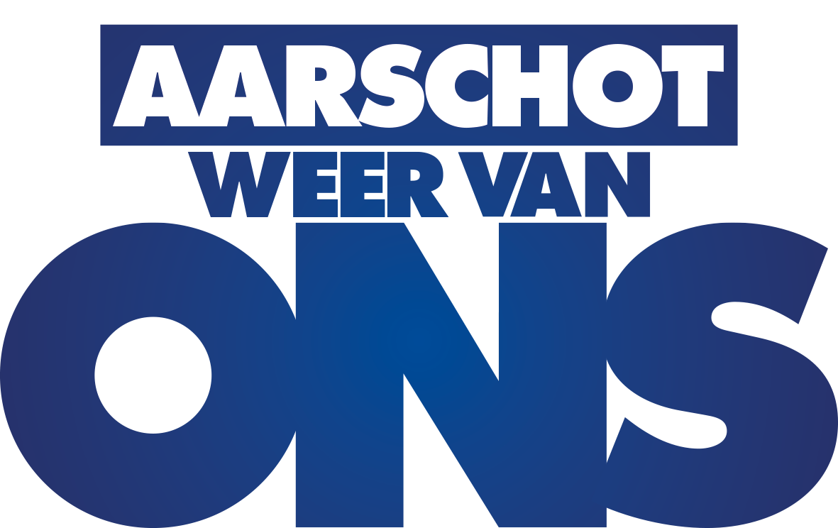 Programma Vlaams Belang Aarschot 2024