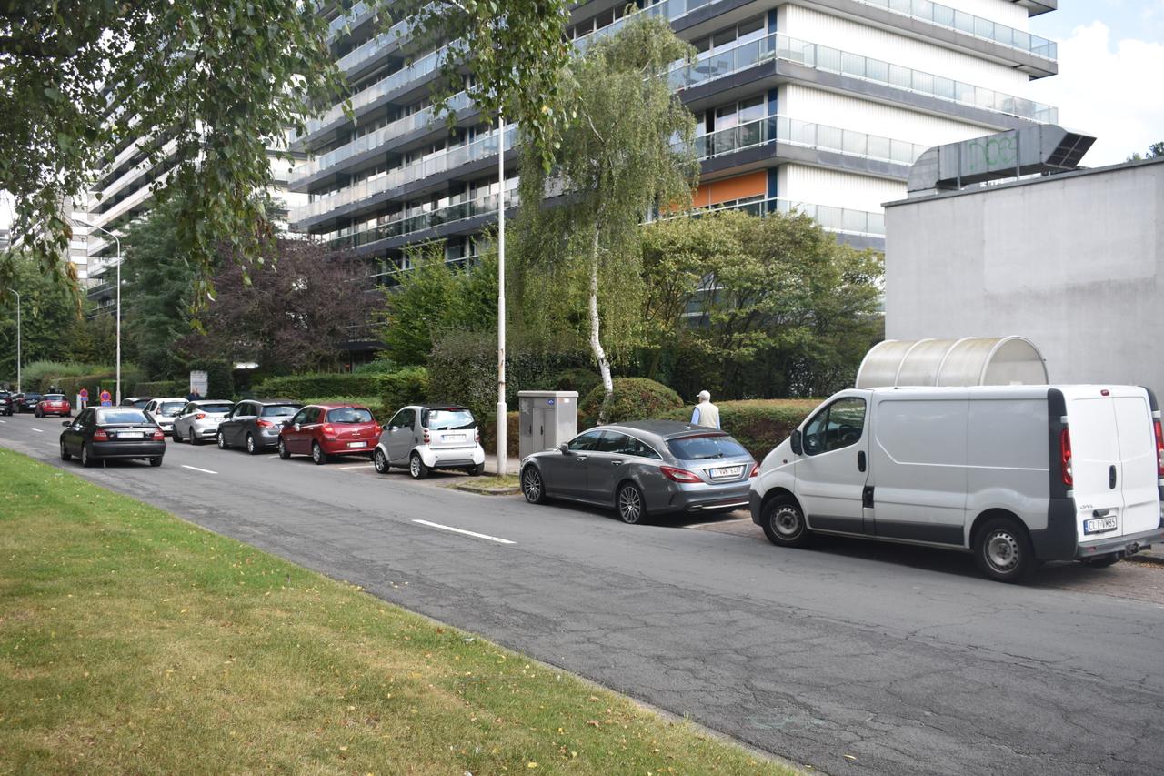 Nogmaals de Fruithoflaan