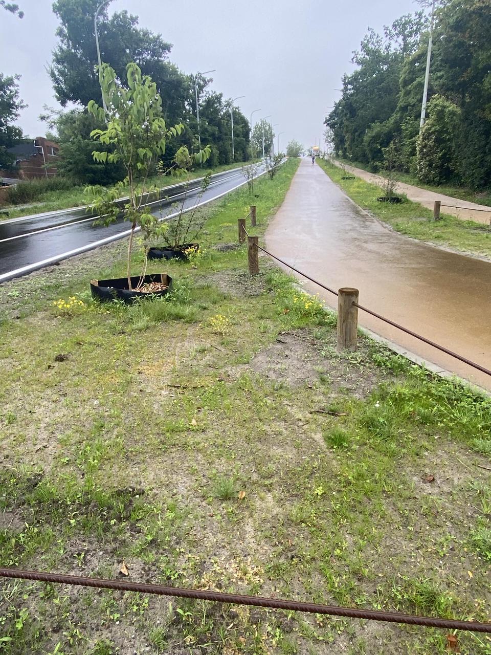 Feestelijke opening Brugpark … of koffietafel voor de centrumhandelaars ?
