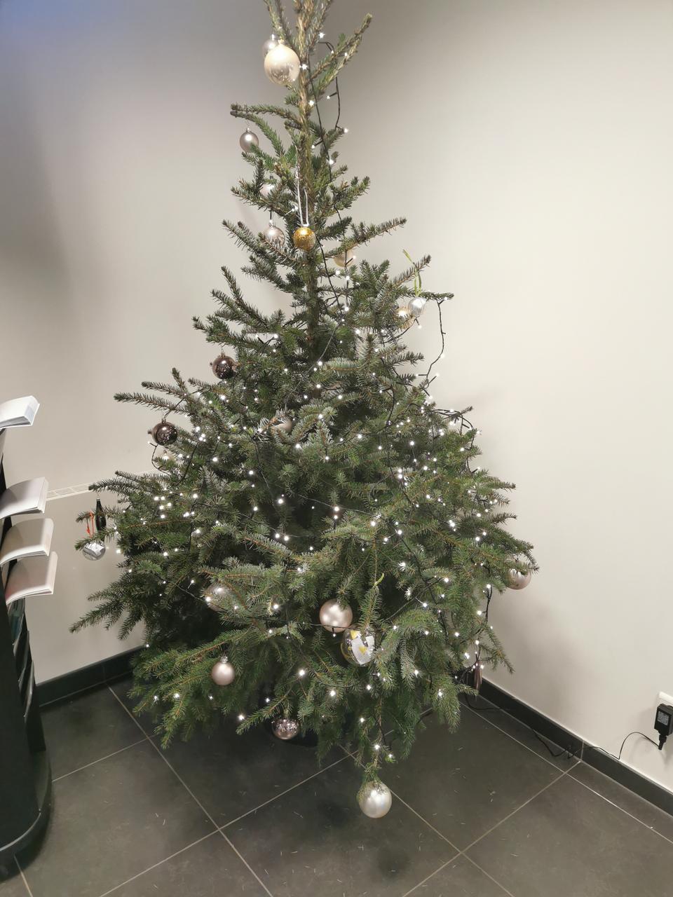 KERSTWENSBOOM VOOR KANSARME KINDEREN.