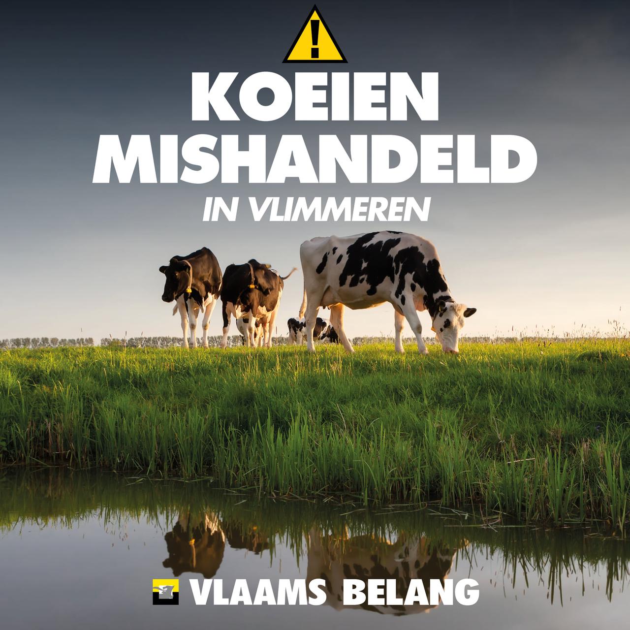 Dierenmishandeling in Vlimmeren