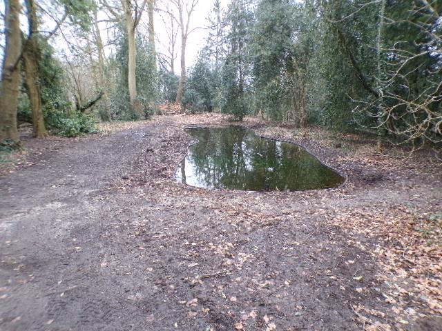Vraag van Lut Cateau op de gemeenteraad van januari: onveilige situatie aan de vijver van het Beverbos